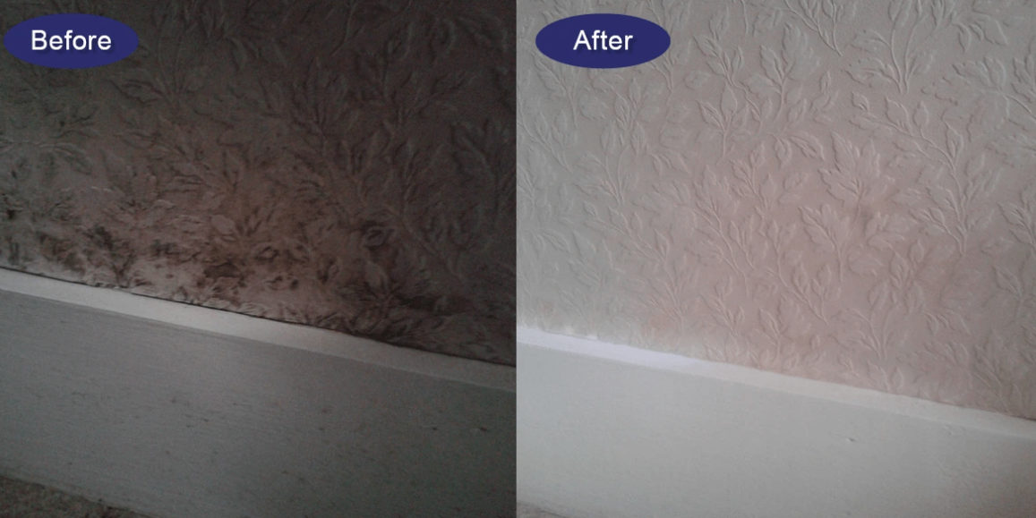Absorbamax MouldAway Gel – Say Goodbye to Mould & Mildew