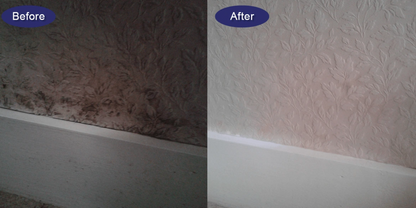 Absorbamax MouldAway Gel – Say Goodbye to Mould & Mildew