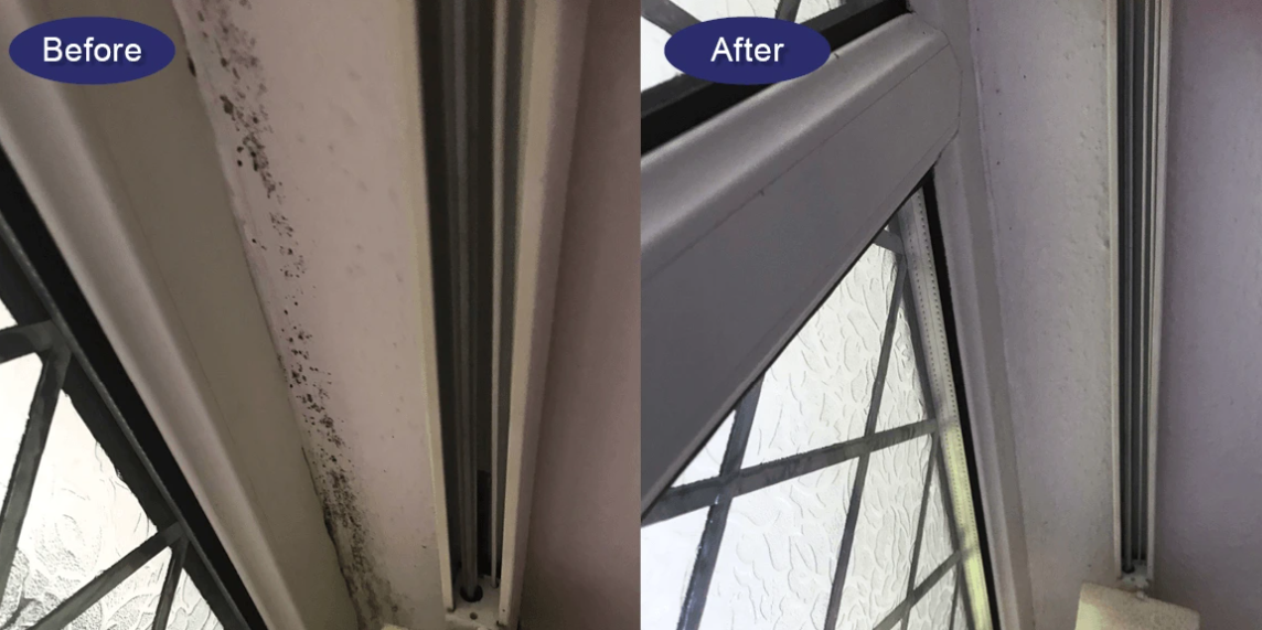 Absorbamax MouldAway Gel – Say Goodbye to Mould & Mildew