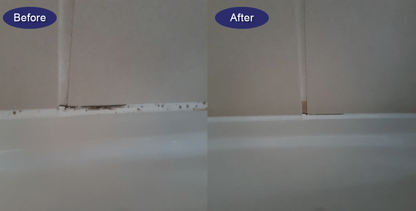 Absorbamax MouldAway Gel – Say Goodbye to Mould & Mildew